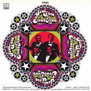 Cover of Soul Spin