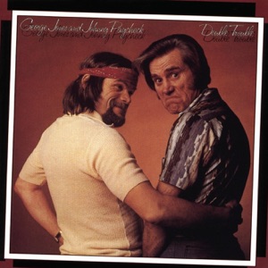 Cover of Double Trouble