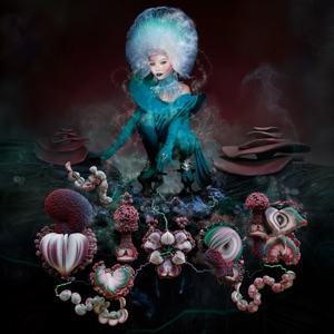 Cover of Fossora