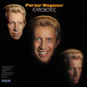 Cover of Experience