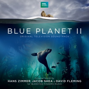 Hoes van Blue Planet II: Original Television Soundtrack