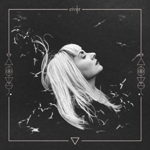 Cover of Slør