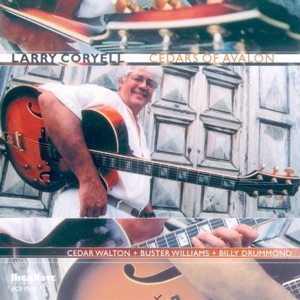 Cover of Cedars of Avalon