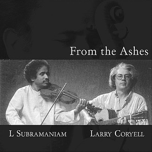 Cover of From the Ashes
