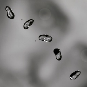 Cover of Up