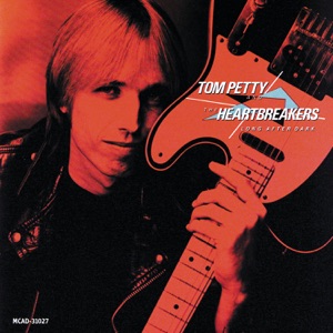 Cover of Long After Dark