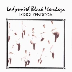 Cover of Izigqi Zendoda