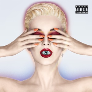 Cover of Witness