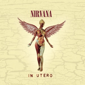 Cover of In Utero