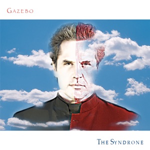 Cover of The Syndrone