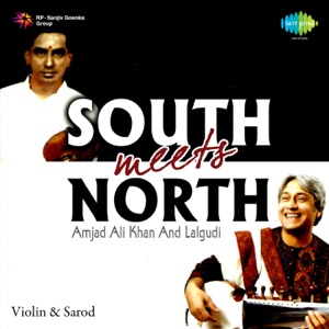 Cover of South Meets North