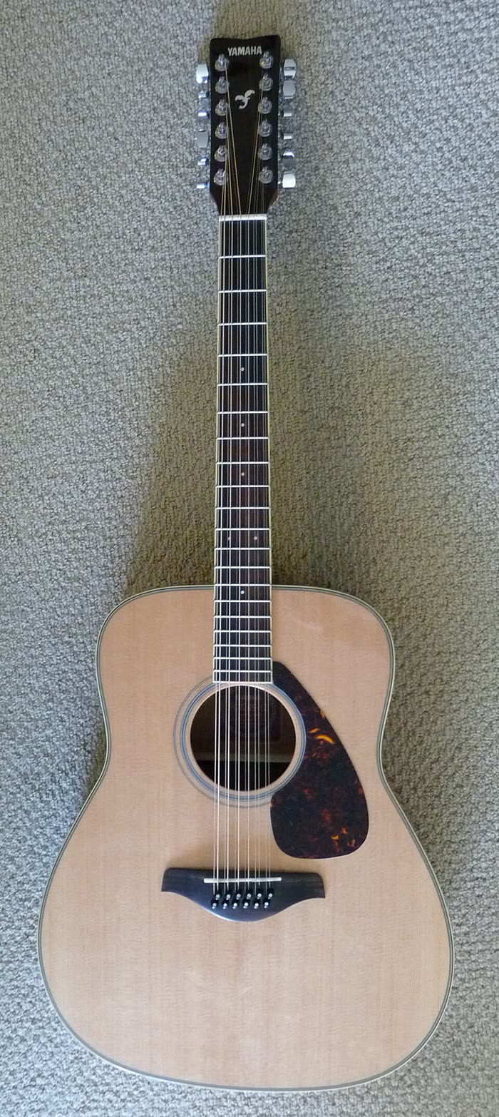 Twaalfsnarige gitaar